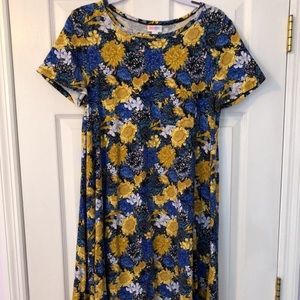 Small lularoe carly dress EUC